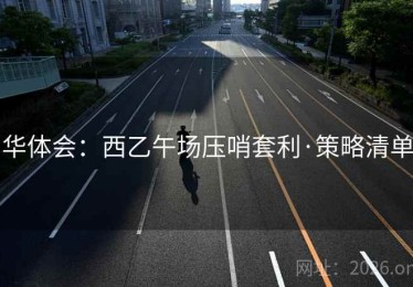 华体会：西乙午场压哨套利·策略清单