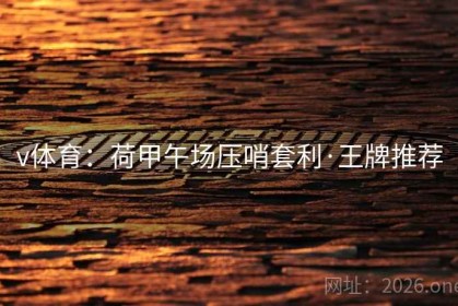 v体育：荷甲午场压哨套利·王牌推荐