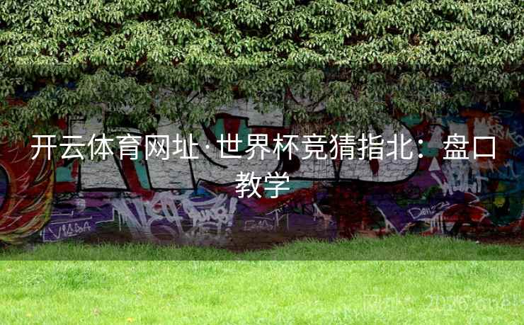 开云体育网址·世界杯竞猜指北:盘口教学 开云体育网址·世界杯竞猜指北:盘口教学