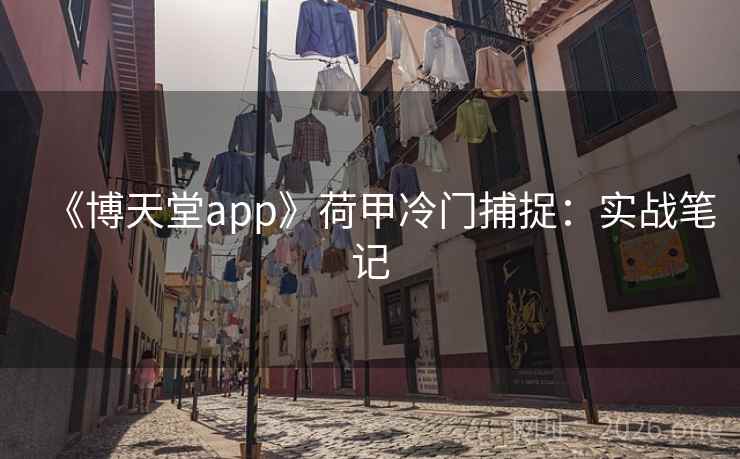 《博天堂app》荷甲冷门捕捉:实战笔记 《博天堂app》荷甲冷门捕捉:实战笔记